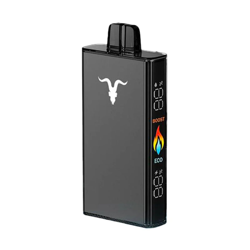 Caixa Ignite v250 25.000 Puffs Atacado - Caixa com 10 Unidades